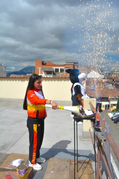 Imagen 2
